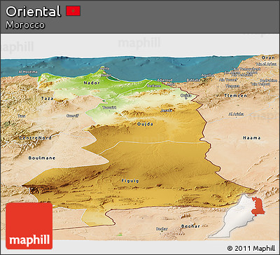 Physical Panoramic Map of Oriental, satellite outside