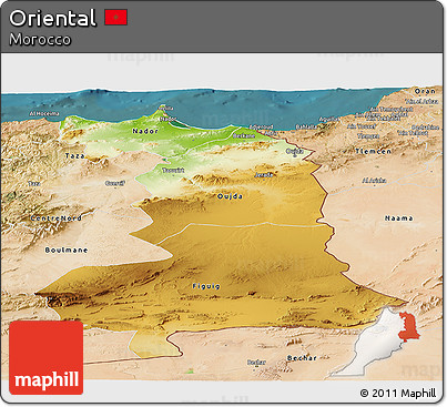 Physical Panoramic Map of Oriental, satellite outside