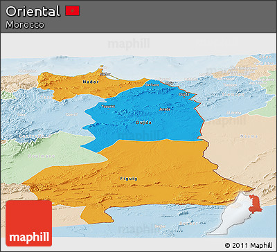 Political Panoramic Map of Oriental, lighten