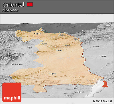 Satellite Panoramic Map of Oriental, desaturated