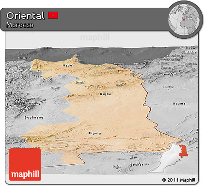 Satellite Panoramic Map of Oriental, desaturated