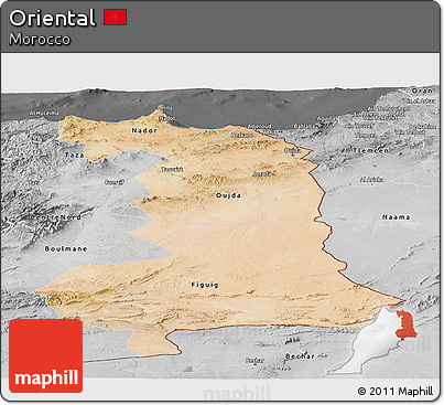 Satellite Panoramic Map of Oriental, desaturated