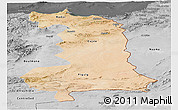 Satellite Panoramic Map of Oriental, desaturated