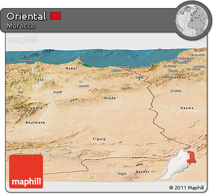 Satellite Panoramic Map of Oriental