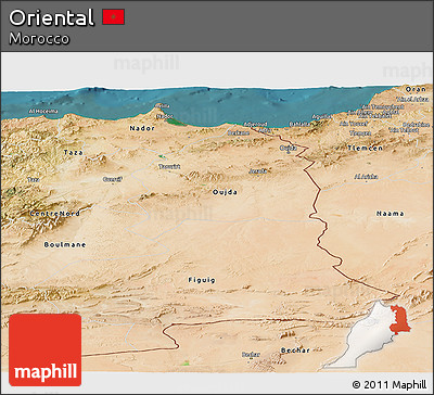 Satellite Panoramic Map of Oriental