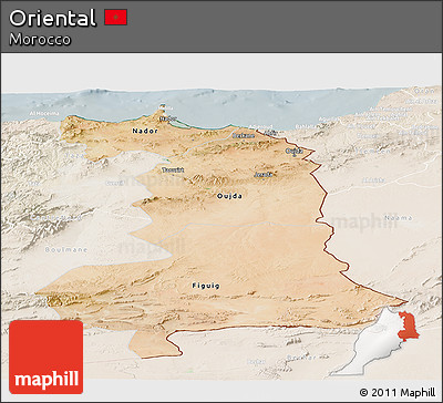 Satellite Panoramic Map of Oriental, lighten