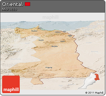 Satellite Panoramic Map of Oriental, lighten