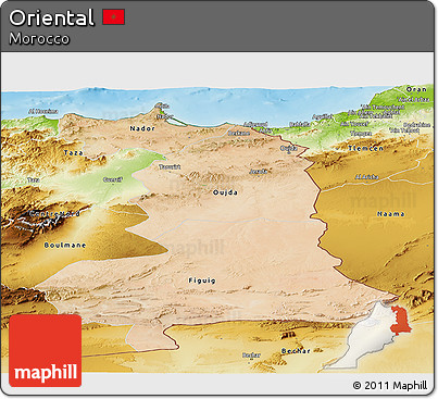 Satellite Panoramic Map of Oriental, physical outside