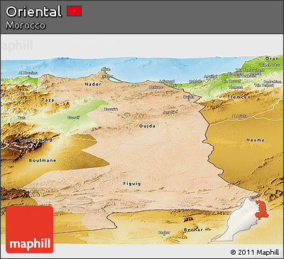 Satellite Panoramic Map of Oriental, physical outside