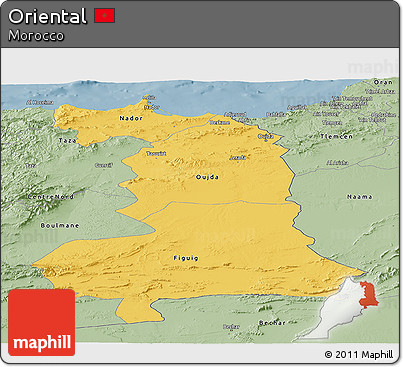Savanna Style Panoramic Map of Oriental