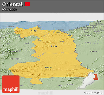 Savanna Style Panoramic Map of Oriental
