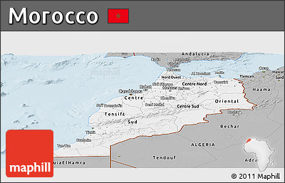 Gray Panoramic Map of Morocco