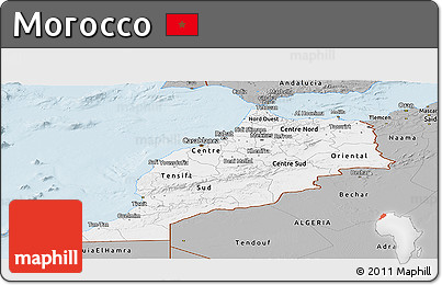 Gray Panoramic Map of Morocco