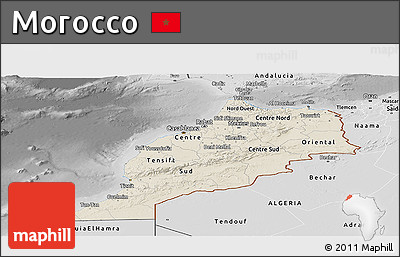 Shaded Relief Panoramic Map of Morocco, desaturated