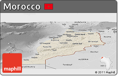 Shaded Relief Panoramic Map of Morocco, desaturated