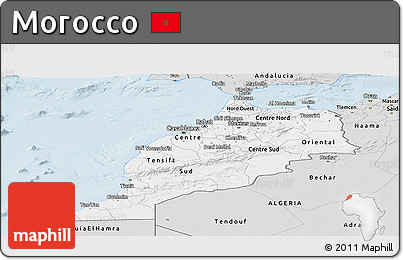Silver Style Panoramic Map of Morocco