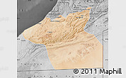 Satellite Map of Guelmin, desaturated