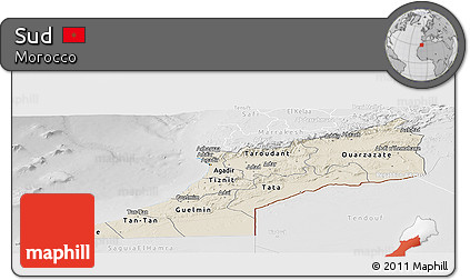 Shaded Relief Panoramic Map of Sud, lighten, desaturated