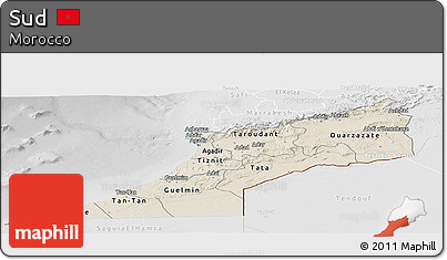 Shaded Relief Panoramic Map of Sud, lighten, desaturated