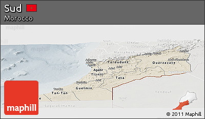 Shaded Relief Panoramic Map of Sud, lighten, semi-desaturated