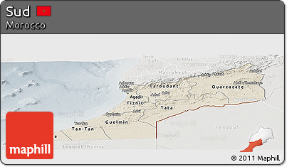 Shaded Relief Panoramic Map of Sud, lighten, semi-desaturated