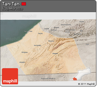 Satellite 3D Map of Tan-Tan, semi-desaturated