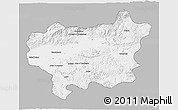 Gray 3D Map of Taroudant, single color outside
