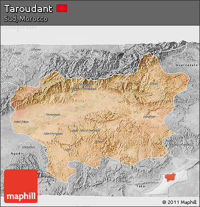 Satellite 3D Map of Taroudant, desaturated