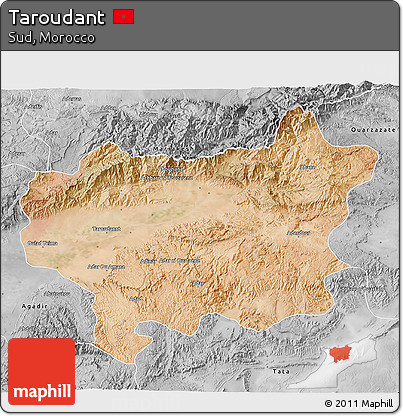 Satellite 3D Map of Taroudant, desaturated