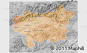 Satellite 3D Map of Taroudant, desaturated