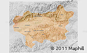 Satellite 3D Map of Taroudant, lighten, desaturated