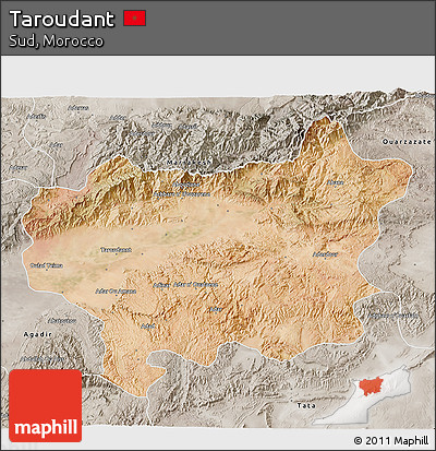 Satellite 3D Map of Taroudant, semi-desaturated