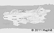 Gray Panoramic Map of Taroudant, single color outside
