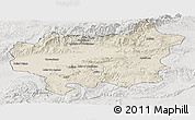 Shaded Relief Panoramic Map of Taroudant, lighten, semi-desaturated