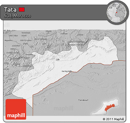Gray 3D Map of Tata