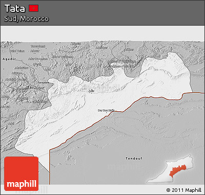 Gray 3D Map of Tata