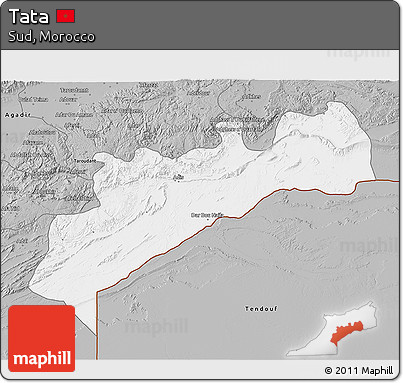 Gray 3D Map of Tata