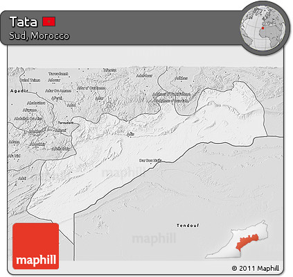 Silver Style 3D Map of Tata