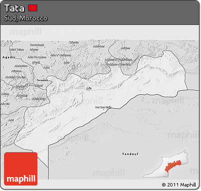 Silver Style 3D Map of Tata