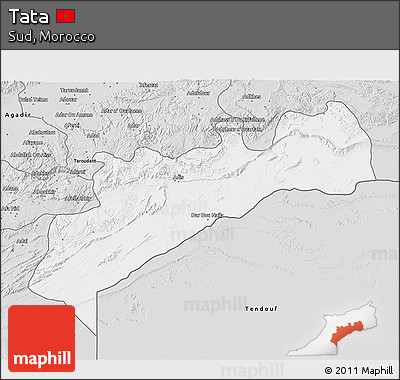 Silver Style 3D Map of Tata