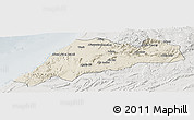 Shaded Relief Panoramic Map of Tiznit, lighten, semi-desaturated