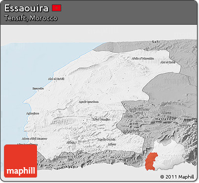 Gray Panoramic Map of Essaouira