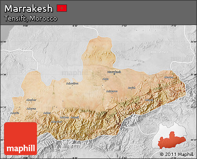 Satellite Map of Marrakesh, lighten, desaturated