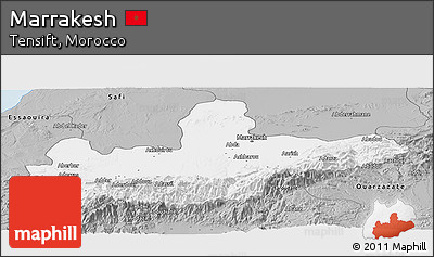 Gray Panoramic Map of Marrakesh