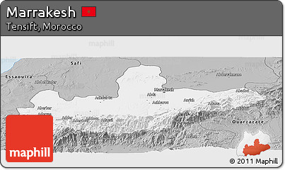 Gray Panoramic Map of Marrakesh