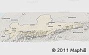 Shaded Relief Panoramic Map of Marrakesh, semi-desaturated