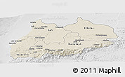 Shaded Relief Panoramic Map of Tensift, lighten, desaturated
