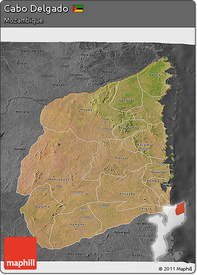 Satellite 3D Map of Cabo Delgado, darken, desaturated