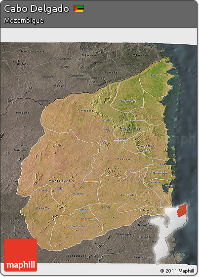 Satellite 3D Map of Cabo Delgado, darken, semi-desaturated