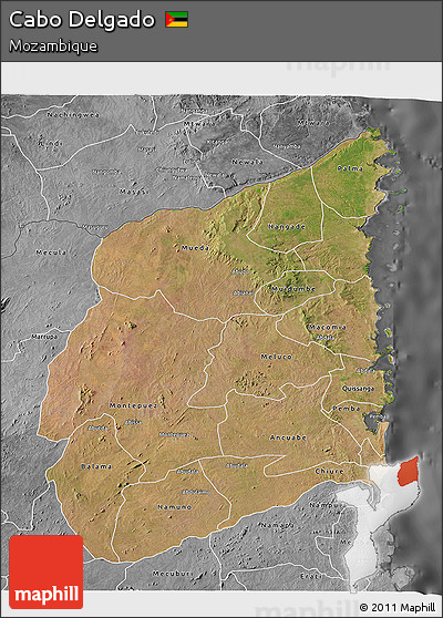 Satellite 3D Map of Cabo Delgado, desaturated